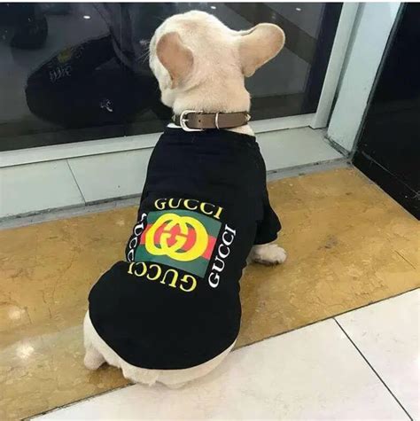 gucci dog t shirt|Gucci dog collar for sale.